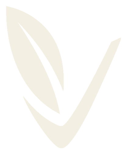 Vinovara